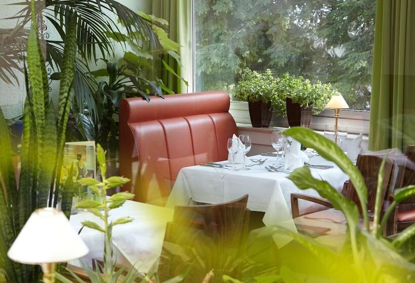 酒店 Noltmannpeters