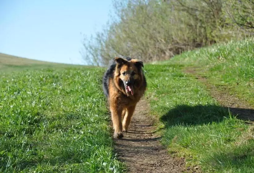 Rhön Hotel Sonnenhof   Restaurant & Café