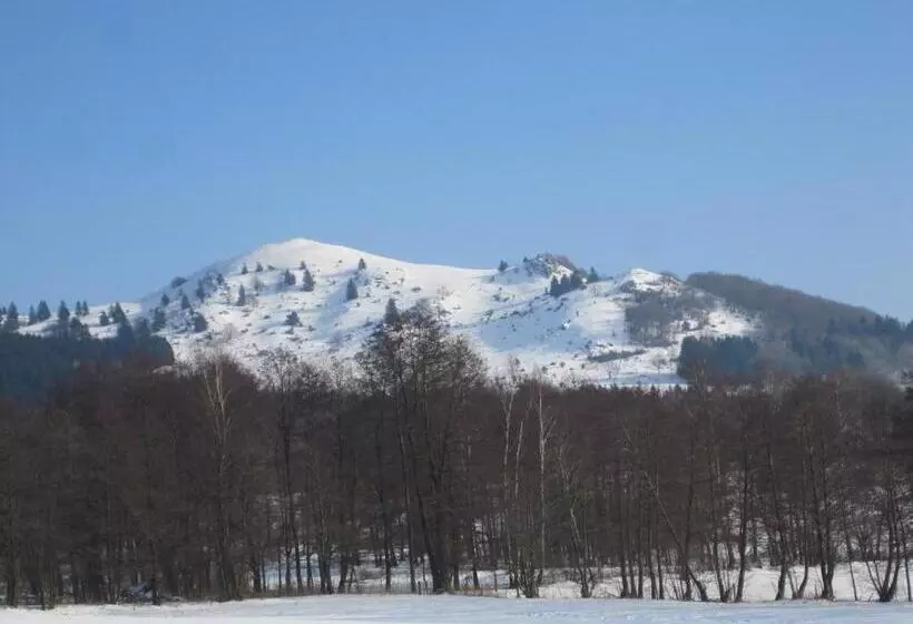 Rhön Hotel Sonnenhof   Restaurant & Café