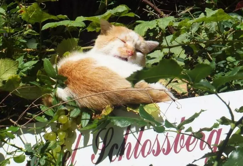 ホテル Schlossberg