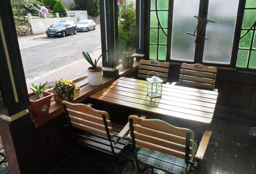 فندق Villa Alice