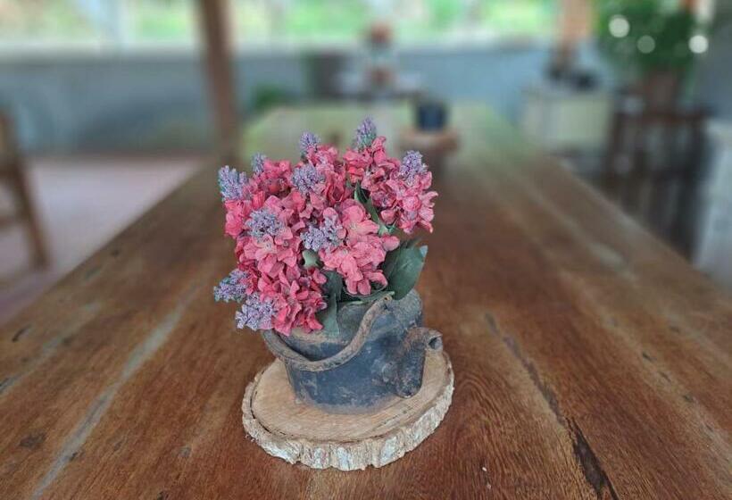 호스텔 Pousada Vila Das Flores