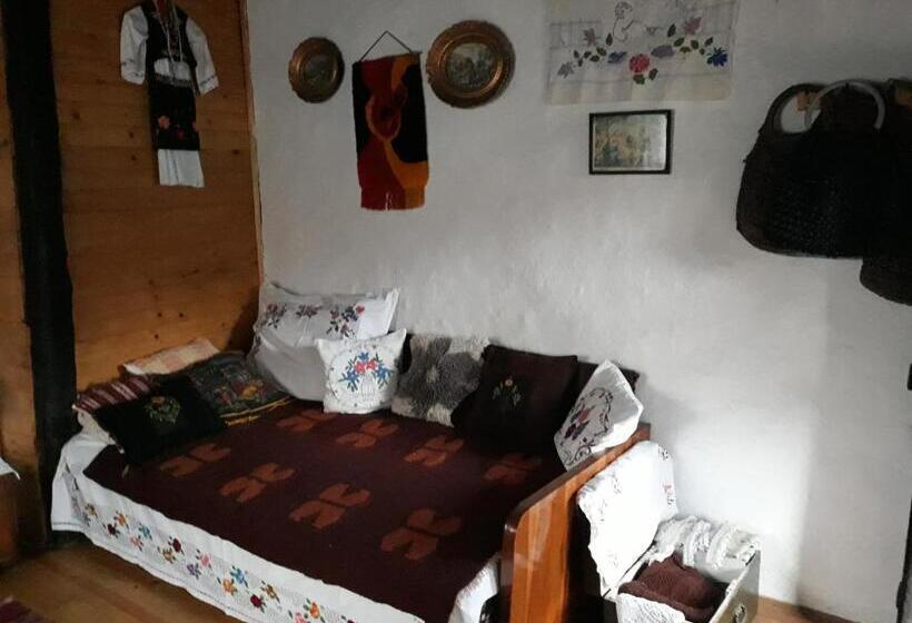 هتل Etno Kuca Petrovic