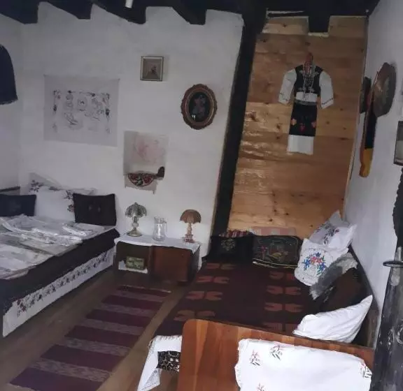 هتل Etno Kuca Petrovic