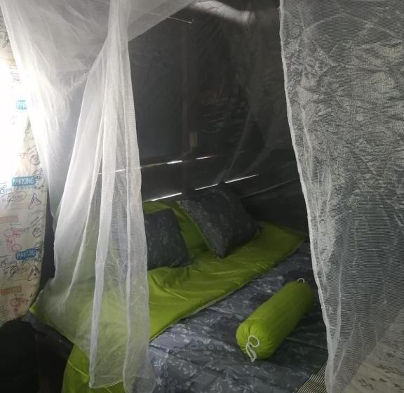 酒店 Farm Lodge La Cabaña