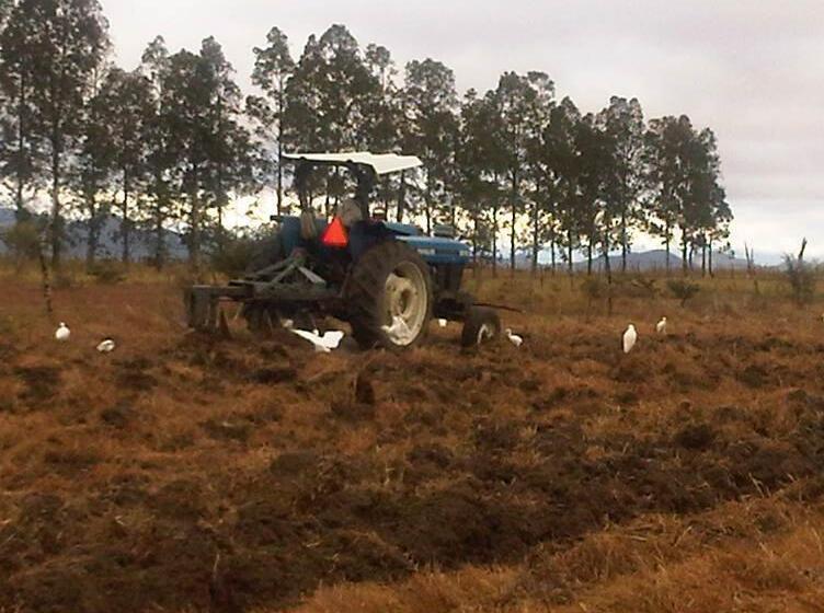 酒店 Farm Lodge La Cabaña