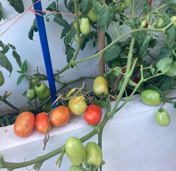 酒店 Farm Lodge La Cabaña