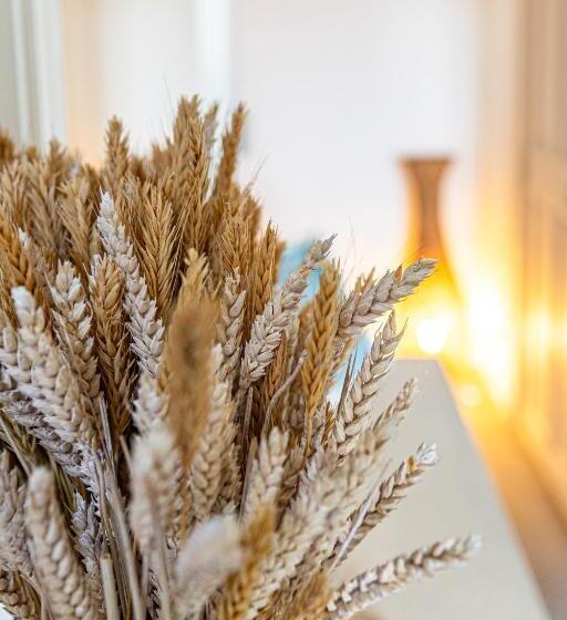 هتل Maison Bournissac