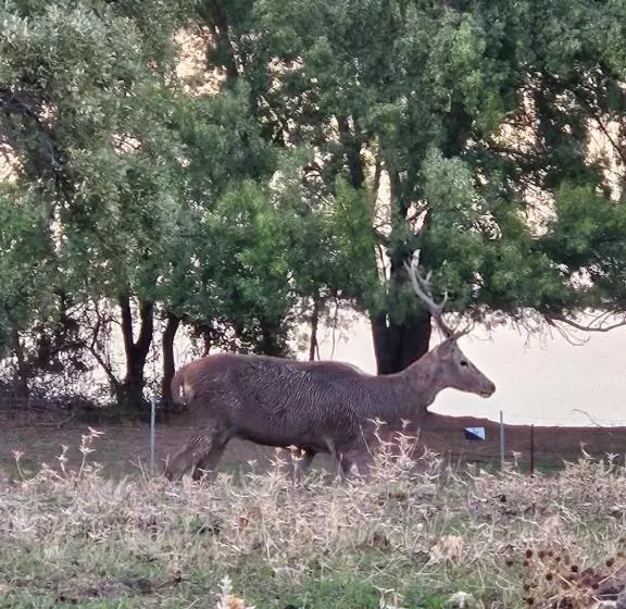 ホテル Rural Portilla De Monfragüe