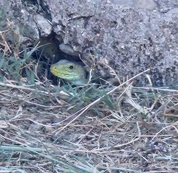 ホテル Rural Portilla De Monfragüe