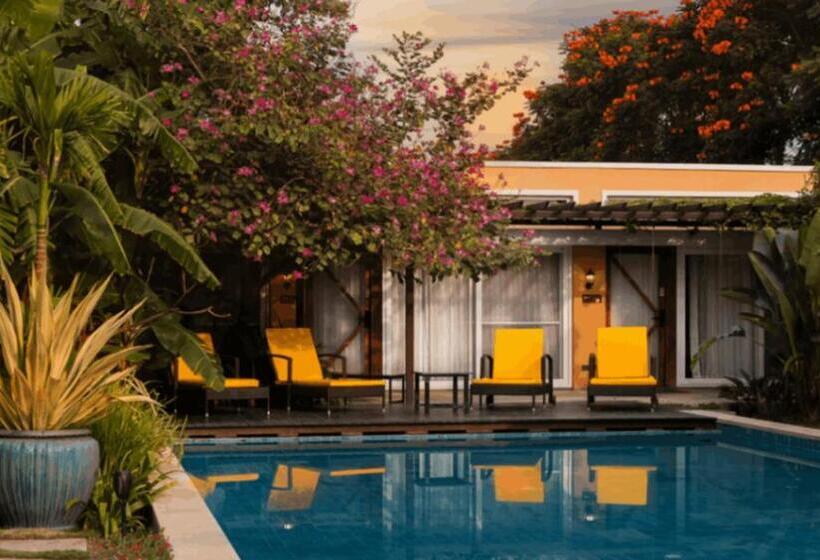 渡假胜地 Orchid Tree Wellness Retreat