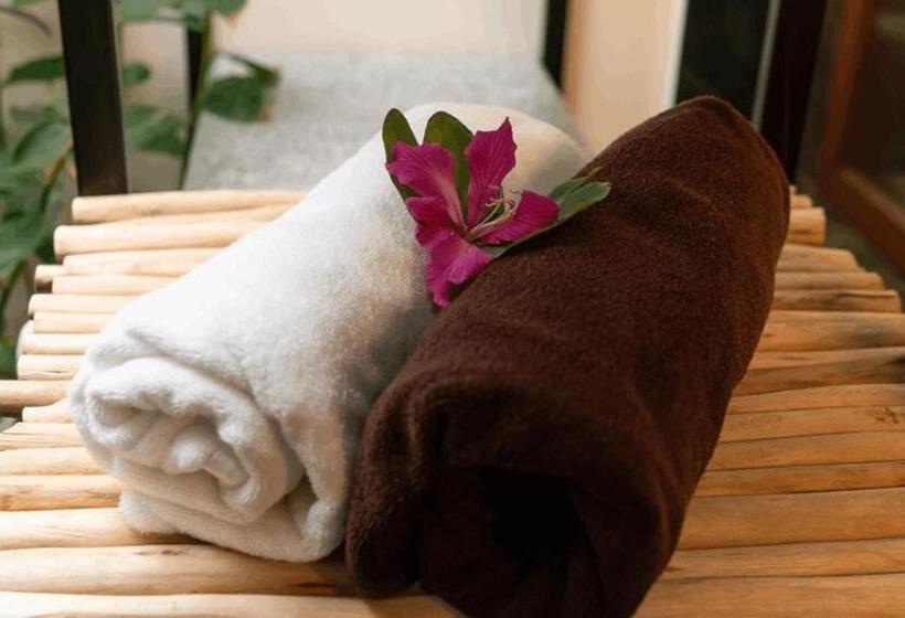 渡假胜地 Orchid Tree Wellness Retreat