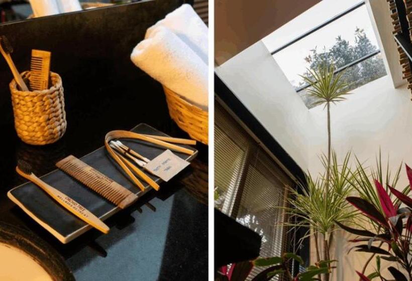 渡假胜地 Orchid Tree Wellness Retreat