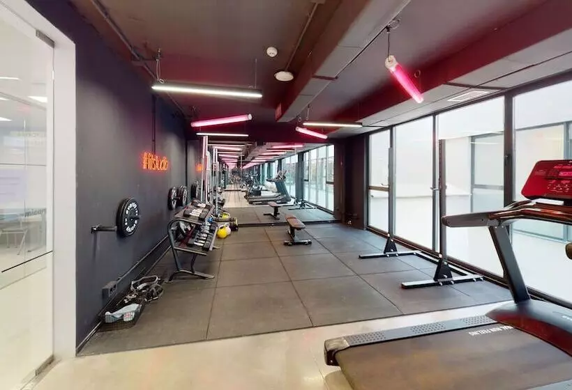 ユースホステル Micampus Alicante Student Residence