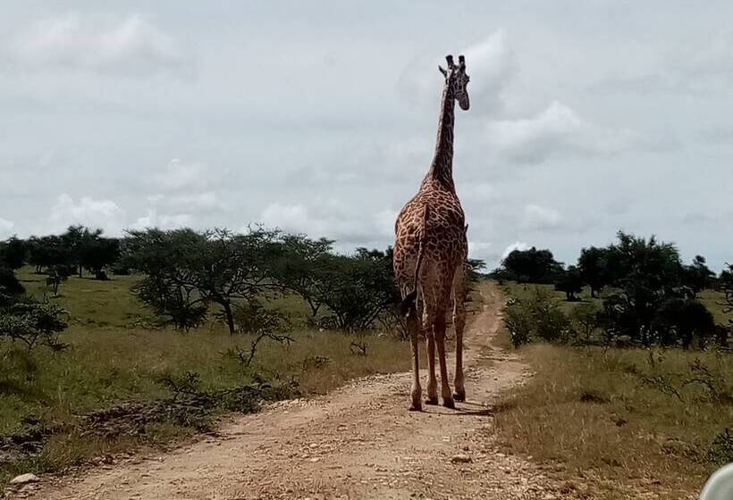 هتل Outback Kenya Lodge