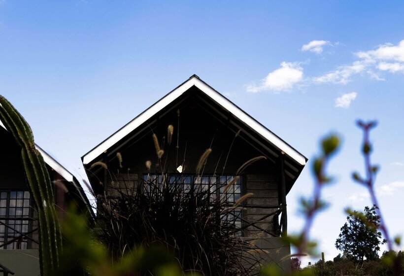 هتل Outback Kenya Lodge