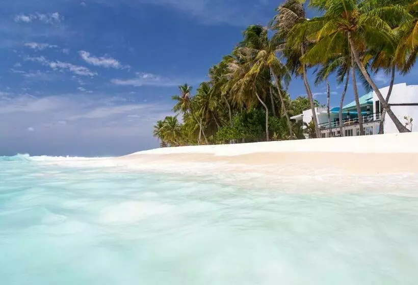 پانسیون Dhonfulhafi Beach View