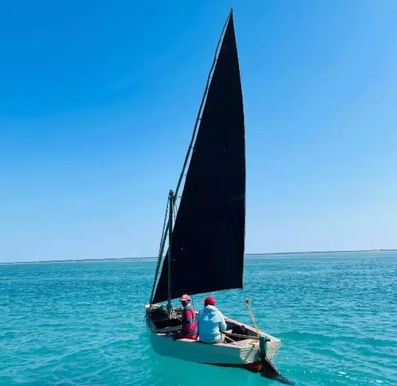 リゾートホテル Mangal Beach Lodge