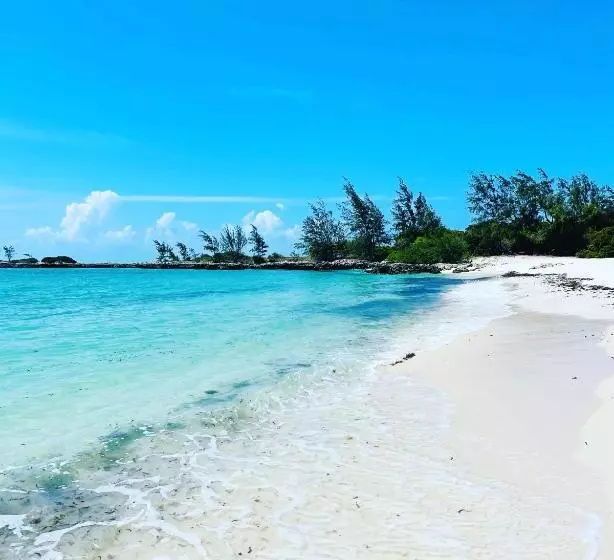 リゾートホテル Mangal Beach Lodge