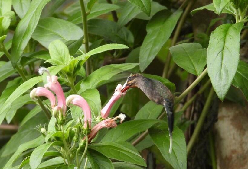 住宿加早餐 Eco Lodge Villa Laura