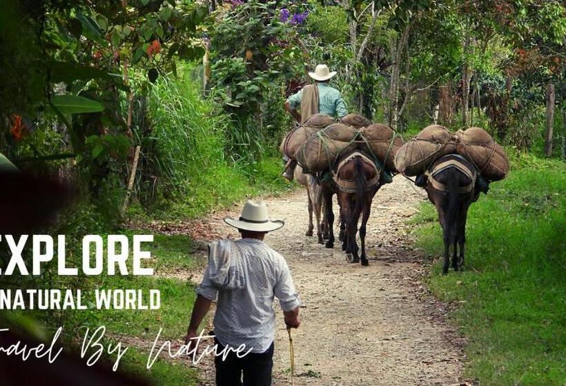 住宿加早餐 Eco Lodge Villa Laura