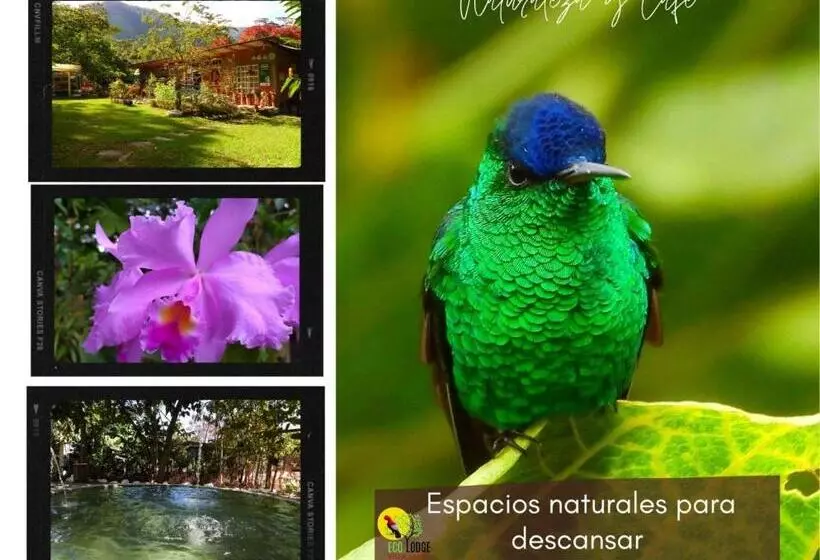 ベッドアンドブレックファースト Eco Lodge Villa Laura