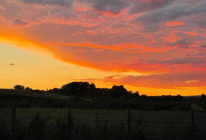 בית מלון כפרי Fattoria Raffaelli