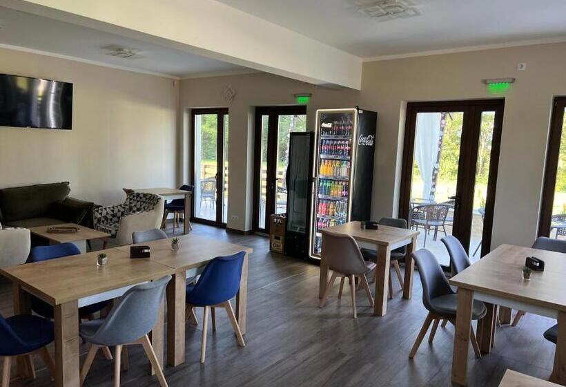 ペンション Casa Cu Flori Maramures