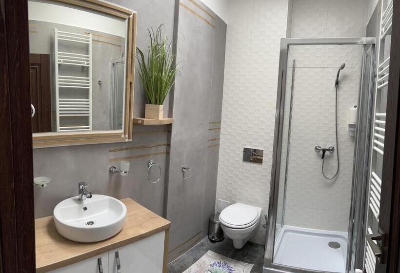 ペンション Casa Cu Flori Maramures