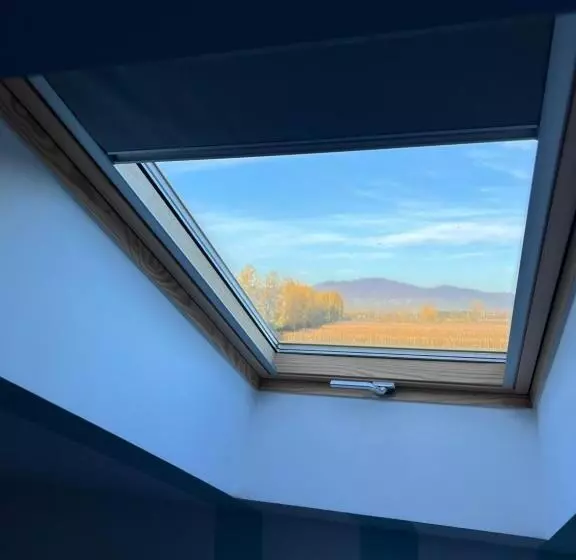 Majatalo Casa Cu Flori Maramures