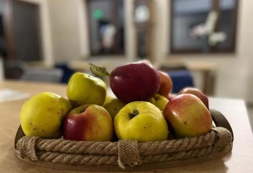 Majatalo Casa Cu Flori Maramures