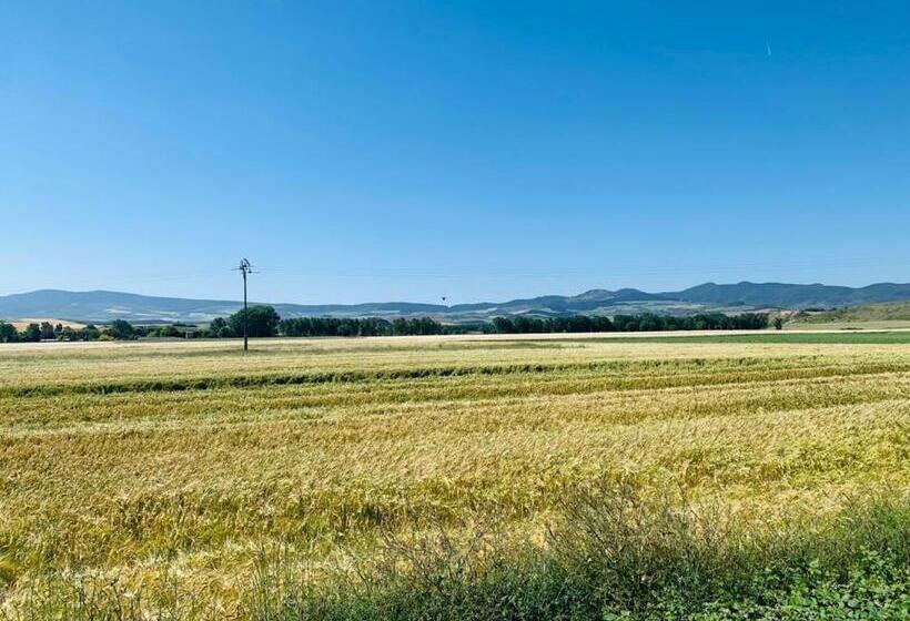 ペンション Hostal Don Javier