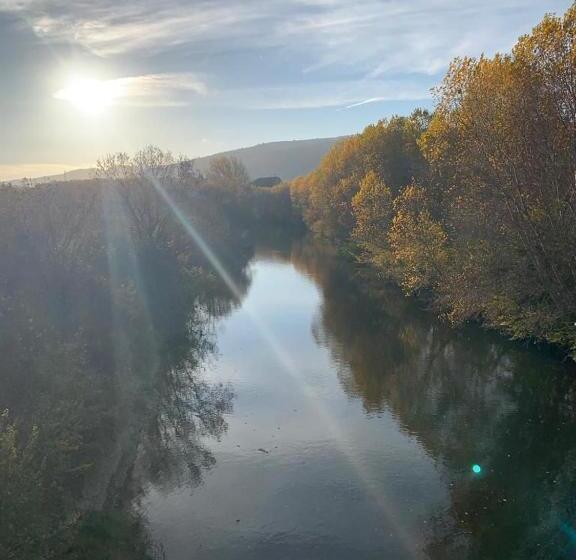 ペンション Hostal Don Javier