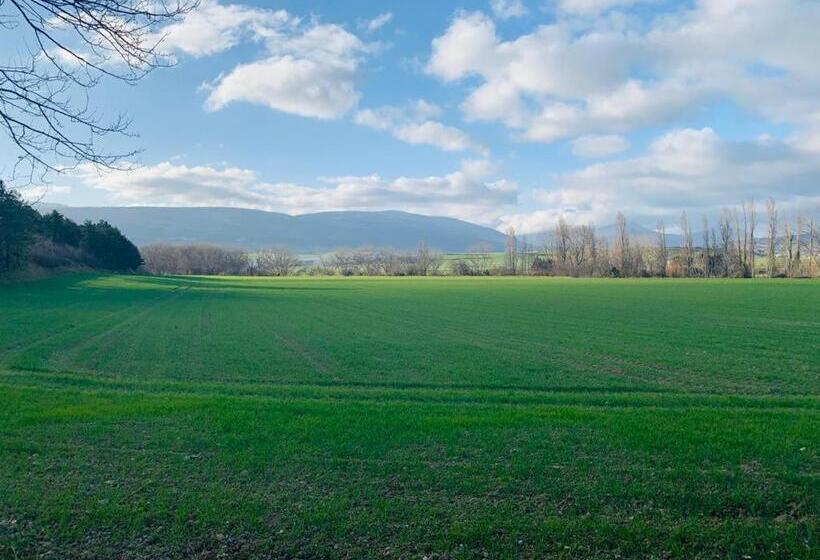 ペンション Hostal Don Javier