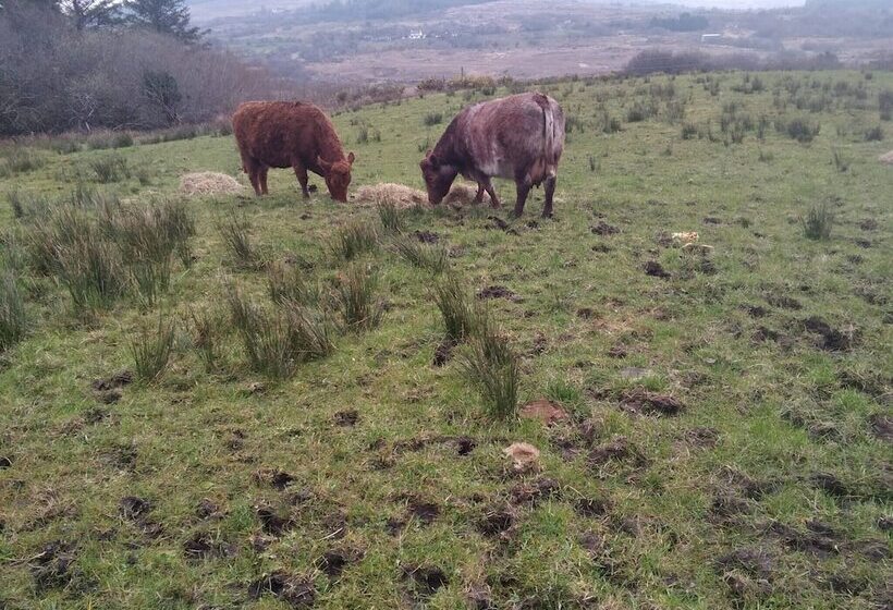 פנסיון Room In Bungalow   Very Nice View With This Room