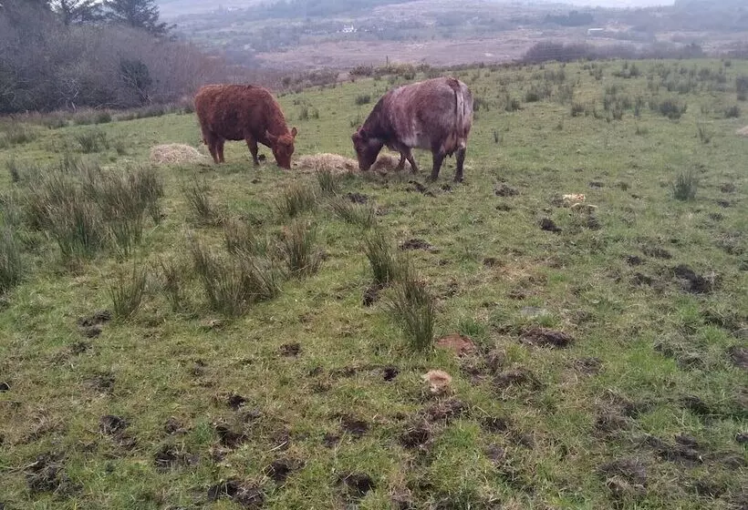ペンション Room In Bungalow   Very Nice View With This Room
