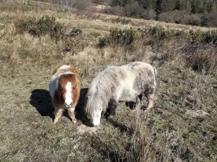 ペンション Room In Bungalow   Very Nice View With This Room