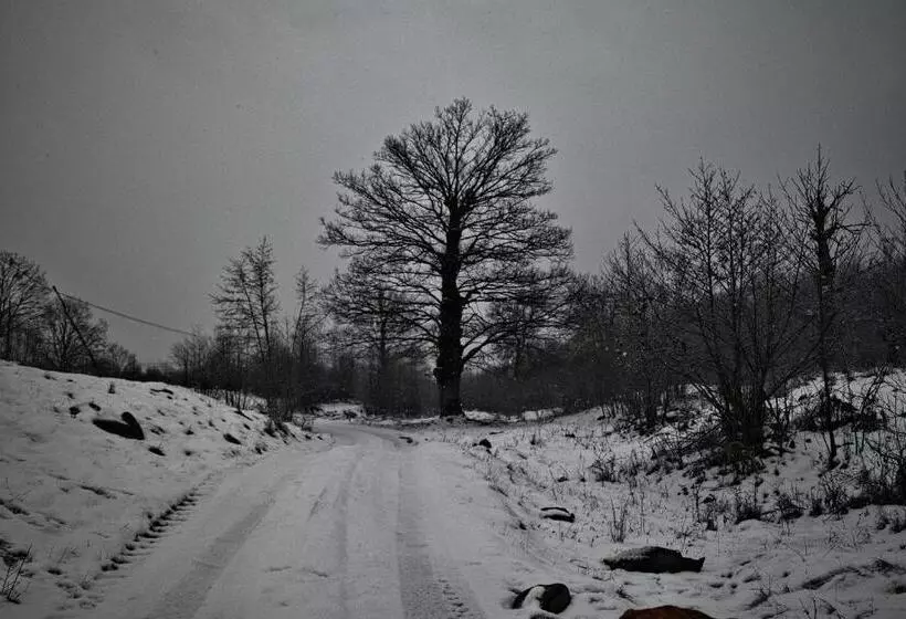 Majatalo Cabana Codrii Maramuresului