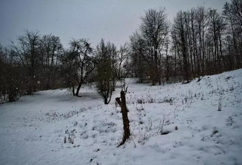 Majatalo Cabana Codrii Maramuresului