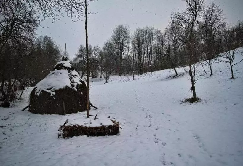 Majatalo Cabana Codrii Maramuresului