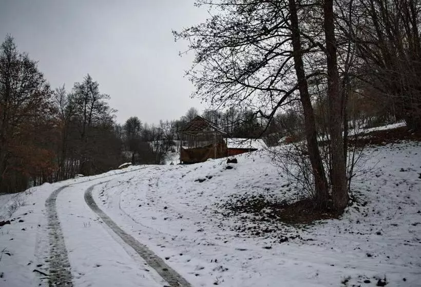 Majatalo Cabana Codrii Maramuresului