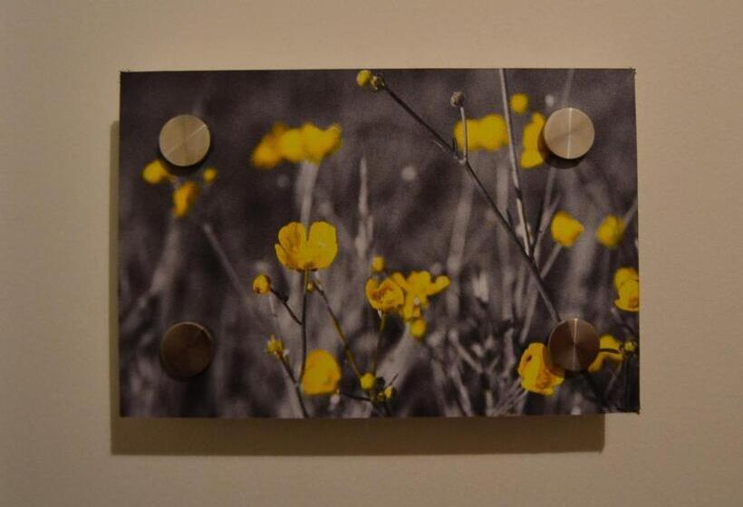 تختخواب و صبحانه Albecca