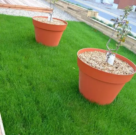 Aamiaismajoitus (B&B) Albecca