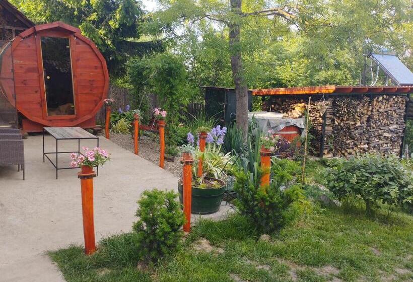 مبيت وإفطار Pensiunea Agroturistica Primavara