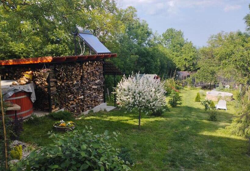 مبيت وإفطار Pensiunea Agroturistica Primavara