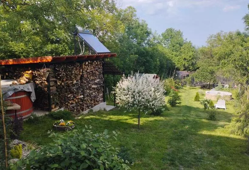 ベッドアンドブレックファースト Pensiunea Agroturistica Primavara