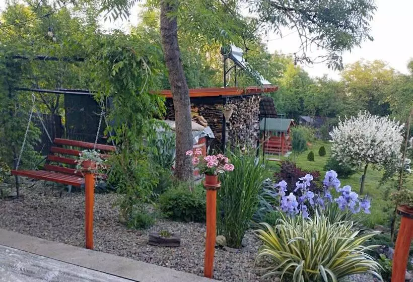 ベッドアンドブレックファースト Pensiunea Agroturistica Primavara