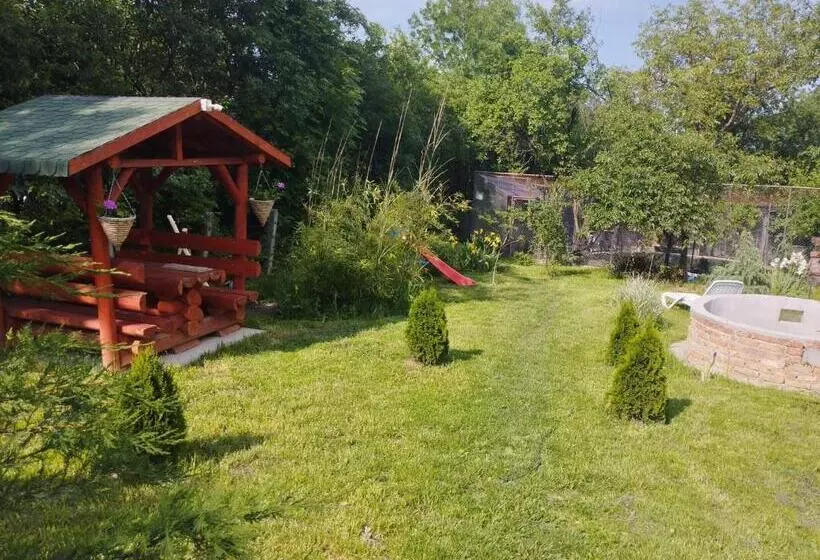 ベッドアンドブレックファースト Pensiunea Agroturistica Primavara