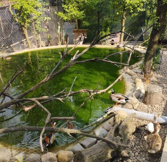 مبيت وإفطار Pensiunea Agroturistica Primavara