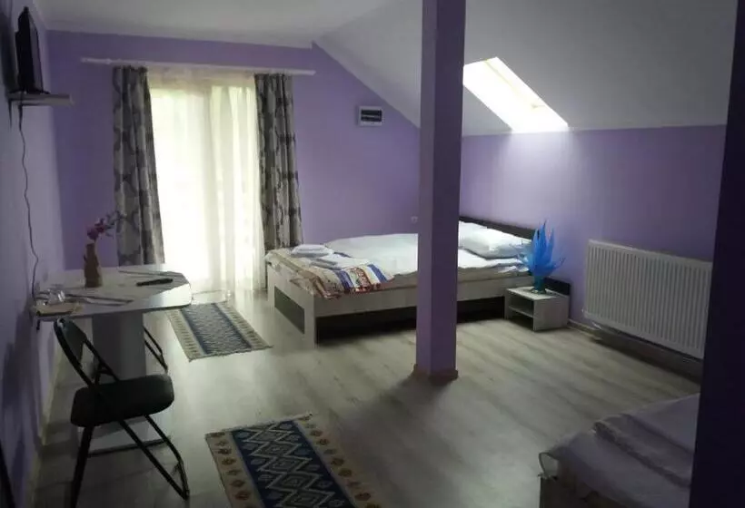 ベッドアンドブレックファースト Pensiunea Agroturistica Primavara